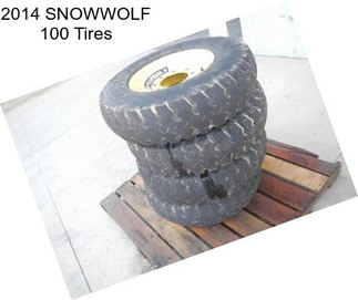 2014 SNOWWOLF 100 Tires