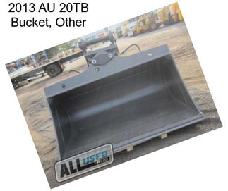 2013 AU 20TB Bucket, Other