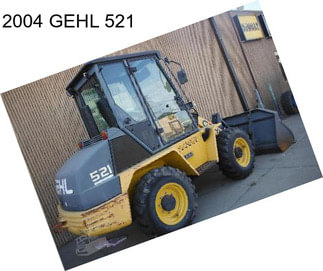 2004 GEHL 521