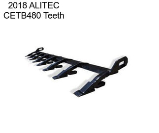2018 ALITEC CETB480 Teeth