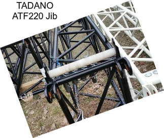 TADANO ATF220 Jib