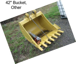 42\'\' Bucket, Other