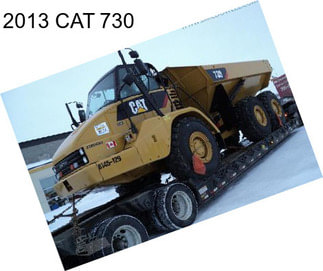 2013 CAT 730