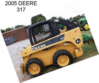 2005 DEERE 317