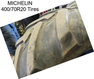 MICHELIN 400/70R20 Tires