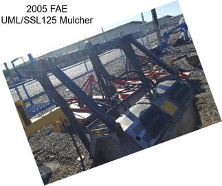 2005 FAE UML/SSL125 Mulcher