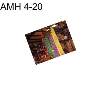 AMH 4-20