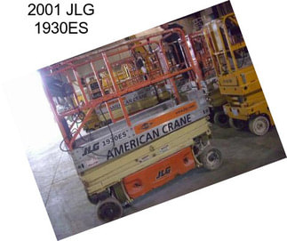 2001 JLG 1930ES