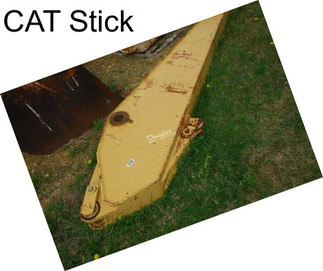 CAT Stick