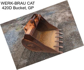 WERK-BRAU CAT 420D Bucket, GP