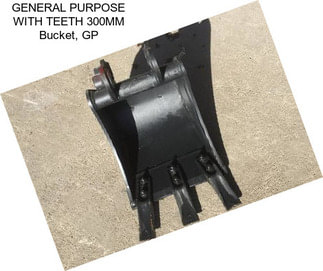 GENERAL PURPOSE WITH TEETH 300MM Bucket, GP