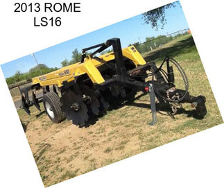 2013 ROME LS16