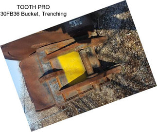 TOOTH PRO 30FB36 Bucket, Trenching