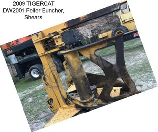 2009 TIGERCAT DW2001 Feller Buncher, Shears