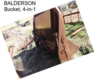 BALDERSON Bucket, 4-in-1