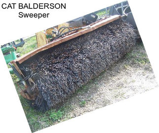 CAT BALDERSON Sweeper