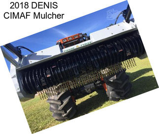 2018 DENIS CIMAF Mulcher