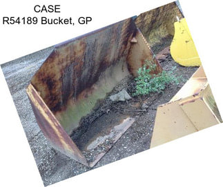 CASE R54189 Bucket, GP