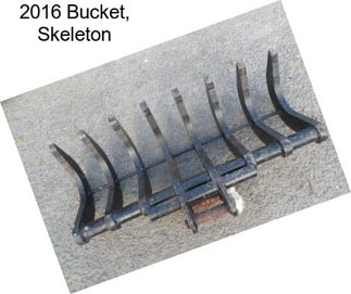 2016 Bucket, Skeleton