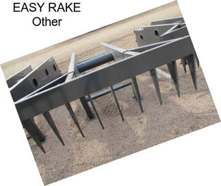 EASY RAKE Other