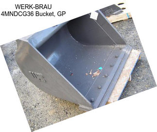 WERK-BRAU 4MNDCG36 Bucket, GP