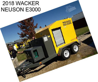 2018 WACKER NEUSON E3000