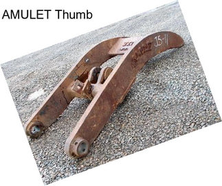 AMULET Thumb