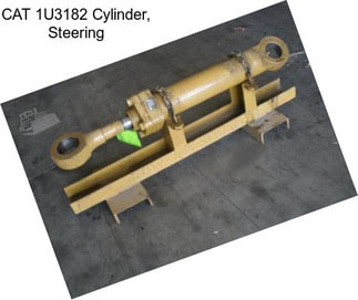 CAT 1U3182 Cylinder, Steering