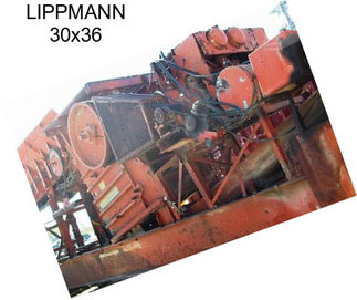 LIPPMANN 30x36