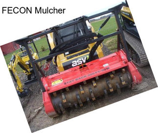 FECON Mulcher