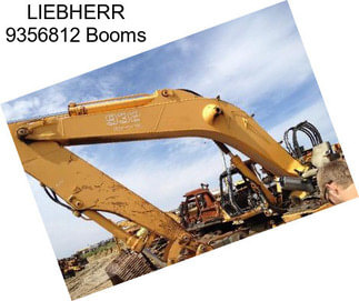 LIEBHERR 9356812 Booms