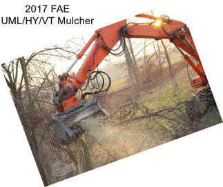 2017 FAE UML/HY/VT Mulcher