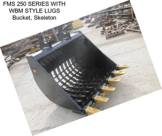 FMS 250 SERIES WITH WBM STYLE LUGS Bucket, Skeleton