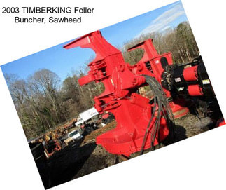 2003 TIMBERKING Feller Buncher, Sawhead