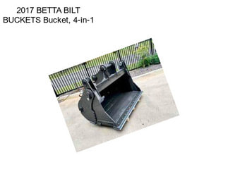 2017 BETTA BILT BUCKETS Bucket, 4-in-1