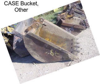 CASE Bucket, Other