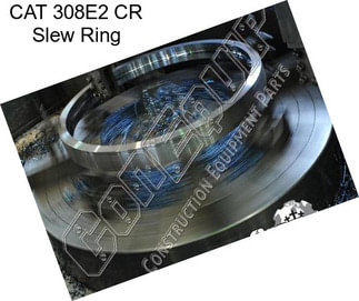 CAT 308E2 CR Slew Ring