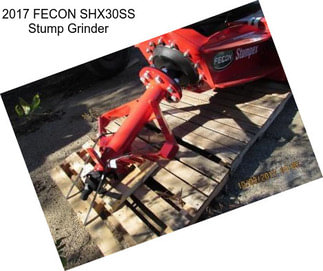 2017 FECON SHX30SS Stump Grinder