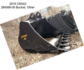 2015 CRAIG 284368-00 Bucket, Other