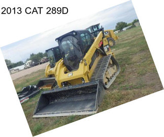 2013 CAT 289D