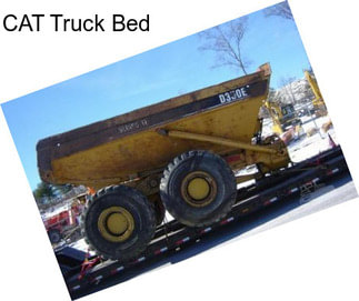 CAT Truck Bed