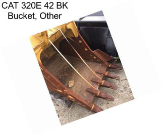 CAT 320E 42 BK Bucket, Other