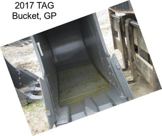 2017 TAG Bucket, GP