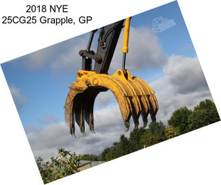 2018 NYE 25CG25 Grapple, GP