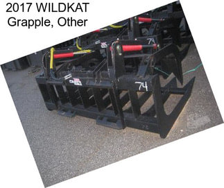 2017 WILDKAT Grapple, Other