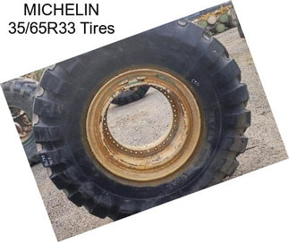 MICHELIN 35/65R33 Tires