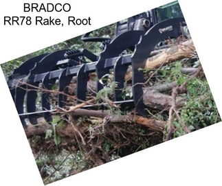 BRADCO RR78 Rake, Root
