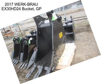 2017 WERK-BRAU EX30HD24 Bucket, GP