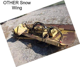 OTHER Snow Wing