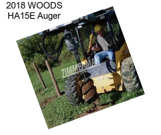 2018 WOODS HA15E Auger